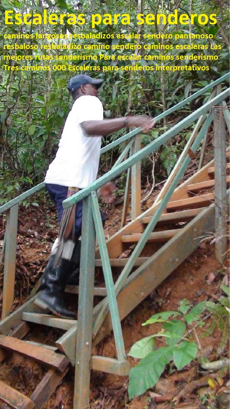 Escaleras para senderos caminos fangosos resbaladizos escalar sendero pantanoso resbaloso resbaladizo camino sendero caminos escaleras Las mejores rutas senderismo Para escalar caminos senderismo Tres caminos 000 Escaleras para senderos caminos fangosos resbaladizos escalar sendero pantanoso resbaloso resbaladizo camino sendero caminos escaleras Las mejores rutas senderismo Para escalar caminos senderismo Tres caminos 000